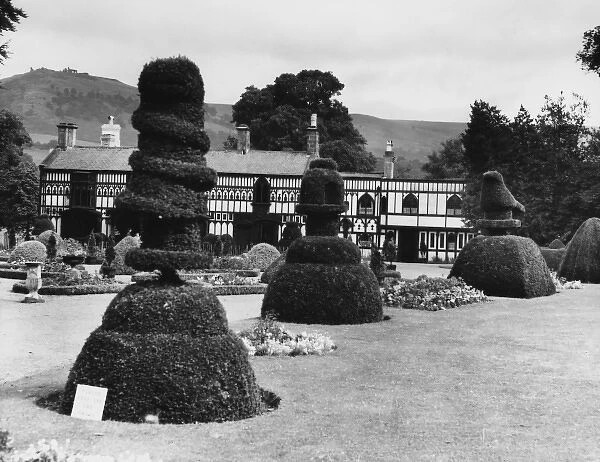 Topiary at Plas Newydd