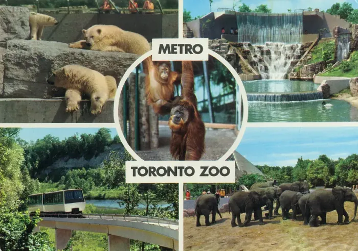 Framed Print : Toronto, Ontario, Canada - Metro Toronto Zoo Framed Print : Toronto, Ontario, Canada - Metro Toronto Zoo