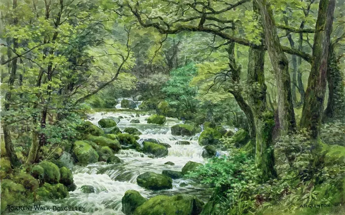 Framed Print : Torrent Walk, Dolgellau, Gwynedd, NW Wales Framed Print : Torrent Walk, Dolgellau, Gwynedd, NW Wales