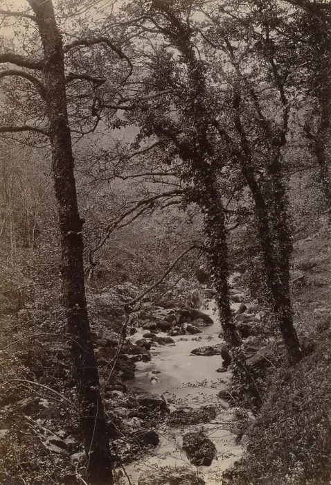 Framed Print : Torrent Walk, Dolgellau, North Wales Date: circa 1889 Framed Print : Torrent Walk, Dolgellau, North Wales Date: circa 1889