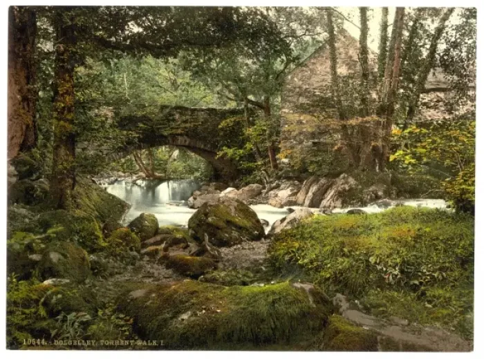 Framed Print : Torrent Walk I, Dolgelly (i. e. Dolgellau), Wales Framed Print : Torrent Walk I, Dolgelly (i. e. Dolgellau), Wales