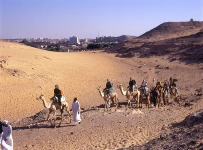Framed Print : Tourists on Camels Egypt Framed Print : Tourists on Camels Egypt