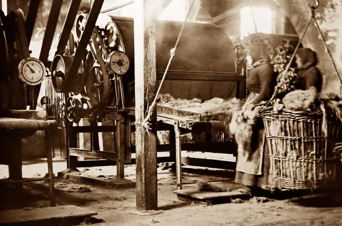 Framed Print : A tow breaker machine, linen production, Victorian period Framed Print : A tow breaker machine, linen production, Victorian period