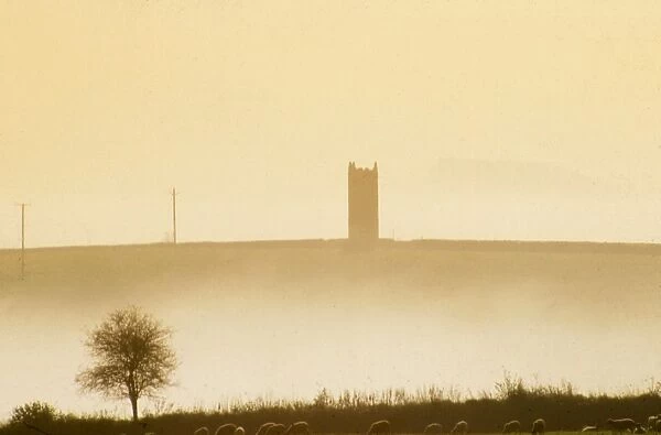 Tower in the mist, Cotehele, Tamar Valley, Cornwall