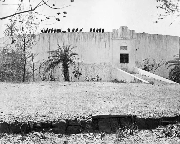 Framed Print : Tower of Silence, Bombay (Mumbai), India Framed Print : Tower of Silence, Bombay (Mumbai), India
