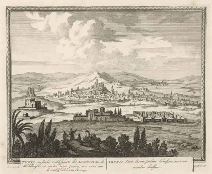Framed Print : TUNIS. The town seen from the land Framed Print : TUNIS. The town seen from the land