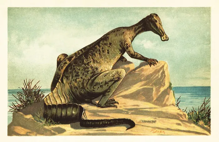 Framed Print : Trachodon mirabilis, extinct hadrosaurad dinosaur Framed Print : Trachodon mirabilis, extinct hadrosaurad dinosaur
