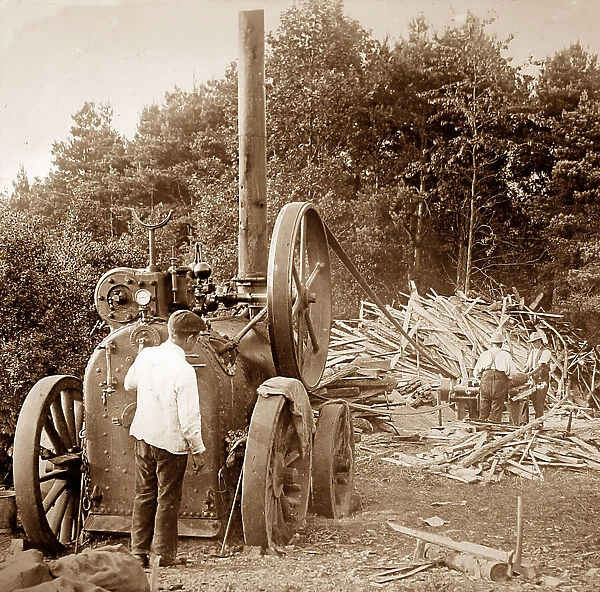 Traction engine powering a saw mill, Victorian period
