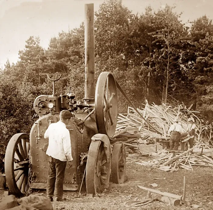 Framed Print : Traction engine powering a saw mill, Victorian period Framed Print : Traction engine powering a saw mill, Victorian period