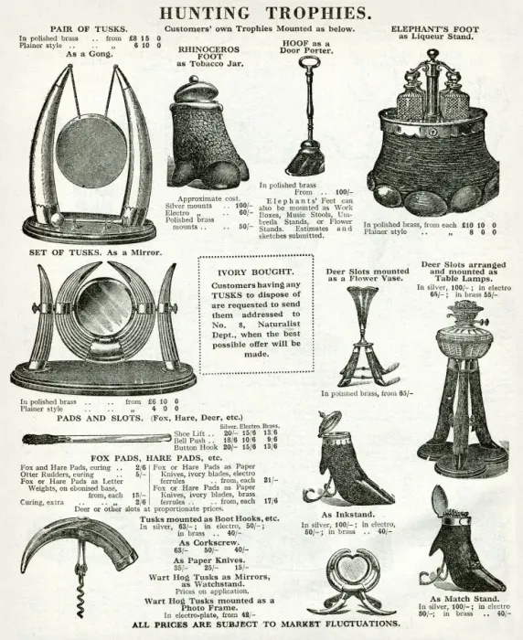 Framed Print : Trade catalogue for hunting trophies 1937 Framed Print : Trade catalogue for hunting trophies 1937