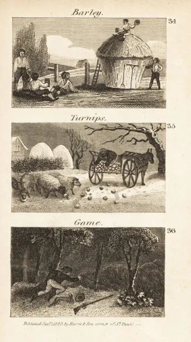 Framed Print : Trades in Norfolk, Regency England. Barley, turnips and game Framed Print : Trades in Norfolk, Regency England. Barley, turnips and game
