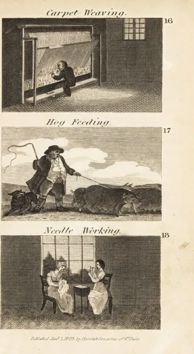 Framed Print : Trades in Regency England. Carpet weaving, hog feeding Framed Print : Trades in Regency England. Carpet weaving, hog feeding