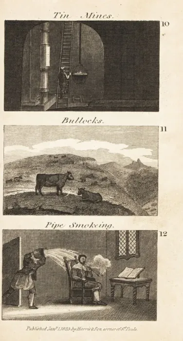Framed Print : Trades in Regency England. Tin mines, bullocks Framed Print : Trades in Regency England. Tin mines, bullocks