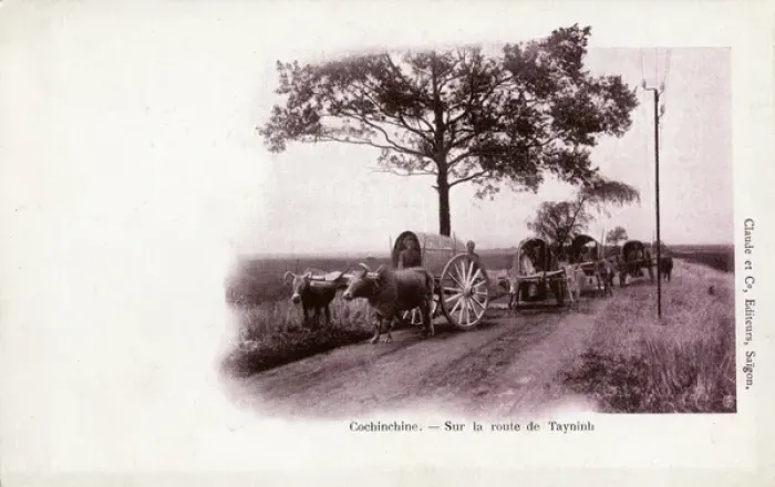 Framed Print : Traditional Ox wagons on the Road to Tay Ninh, Vietnam Framed Print : Traditional Ox wagons on the Road to Tay Ninh, Vietnam