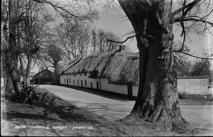 Framed Print : Traditional Thatched Cottages in Tolpuddle Framed Print : Traditional Thatched Cottages in Tolpuddle