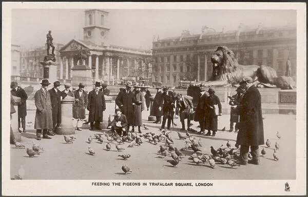 Trafalgar Sq / Pigeons