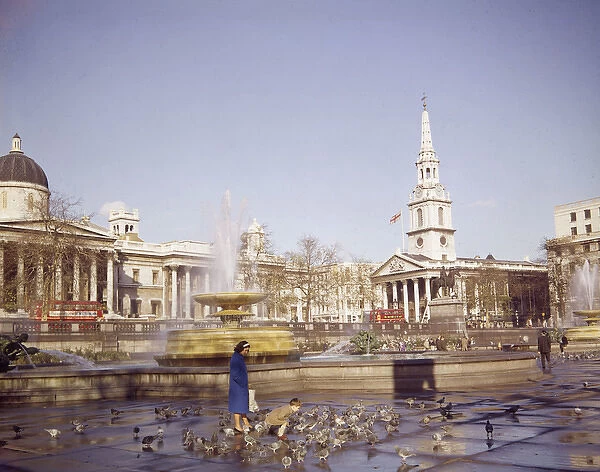 Trafalgar Square with fountains and pigeons, London