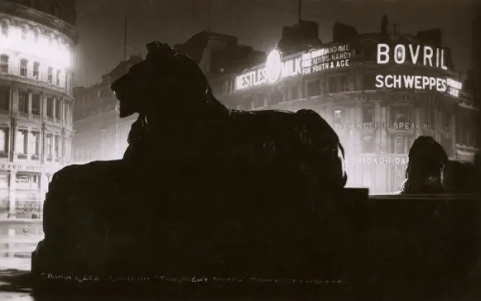 Framed Print : Trafalgar Square Lion at Night - The Night Watch