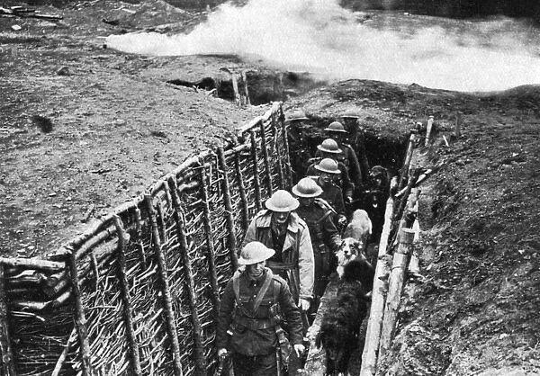 Training dogs in the trenches, WW1