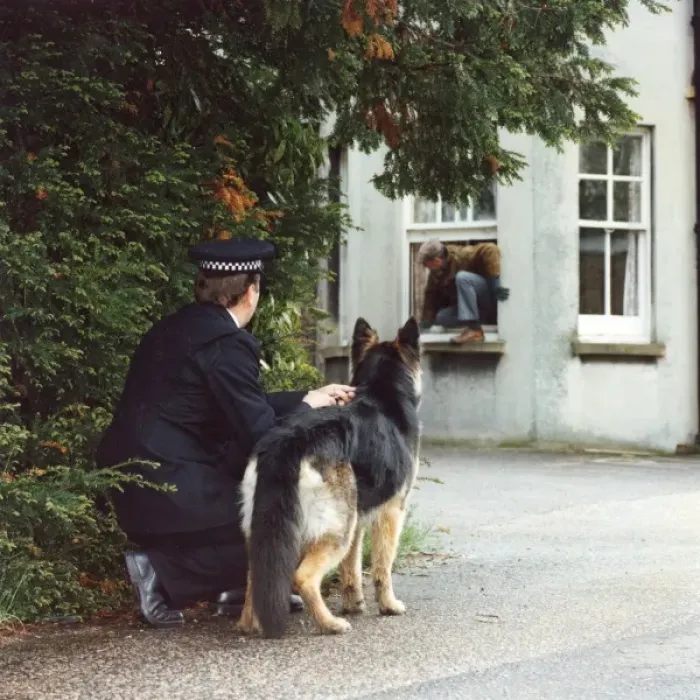 Framed Print : Training a police dog - catching a fleeing burglar Framed Print : Training a police dog - catching a fleeing burglar