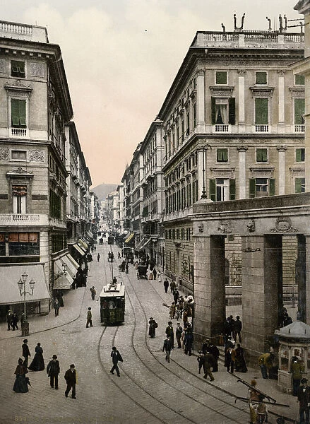 Trams and pedestrian traffic in a street, Geneva, Switzerlan