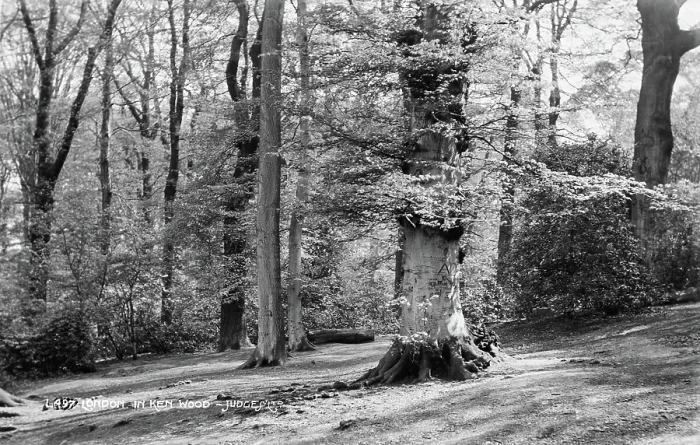 Framed Print : Tranquil Scene in Ken Wood