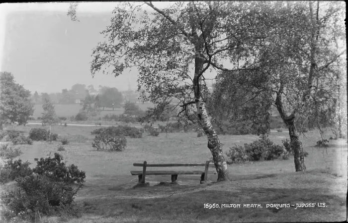 Framed Print : Tranquil Scene at Milton Heath Framed Print : Tranquil Scene at Milton Heath