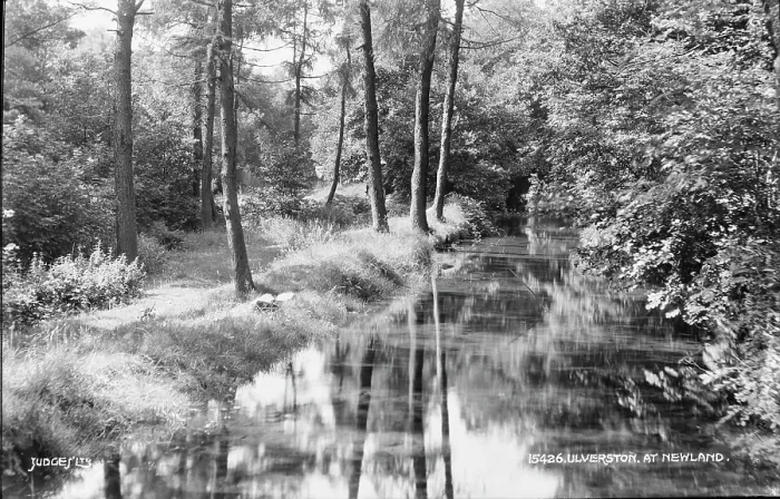 Framed Print : Tranquil Scene at Newland Framed Print : Tranquil Scene at Newland