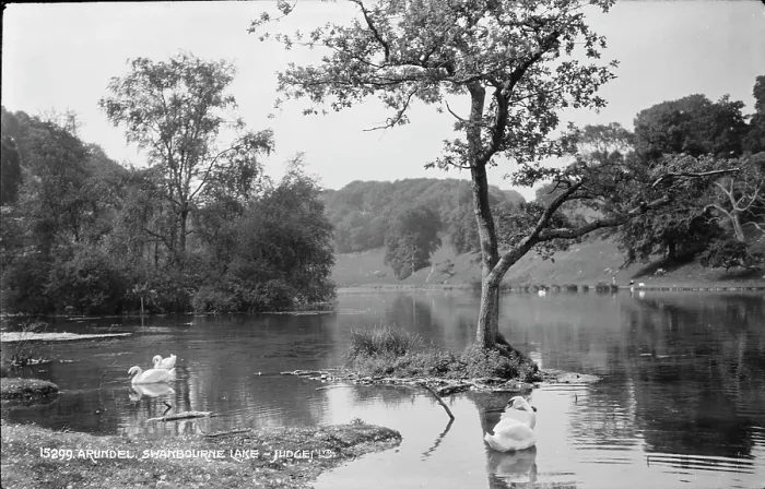 Framed Print : Tranquil Scene at Swanbourne Lake Framed Print : Tranquil Scene at Swanbourne Lake