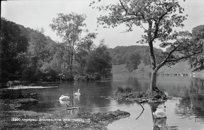 Framed Print : Tranquil Scene at Swanbourne Lake Framed Print : Tranquil Scene at Swanbourne Lake