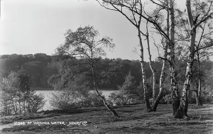 Framed Print : Tranquil Scene at Virginia Water Framed Print : Tranquil Scene at Virginia Water