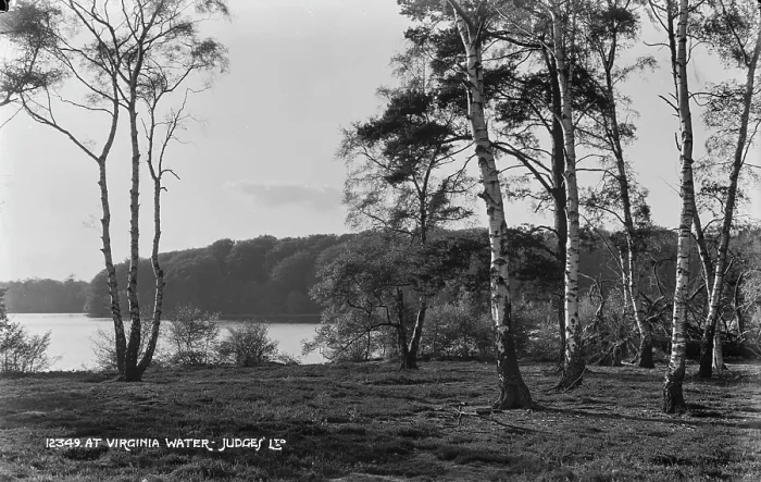Framed Print : Tranquil Scene at Virginia Water Framed Print : Tranquil Scene at Virginia Water
