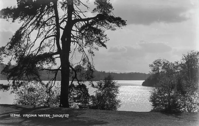 Framed Print : Tranquil Waters of Virginia Water Framed Print : Tranquil Waters of Virginia Water