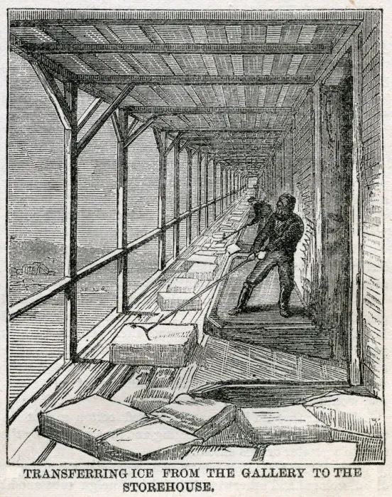 Framed Print : Transferring ice to storehouse, Hudson River 1875 Framed Print : Transferring ice to storehouse, Hudson River 1875
