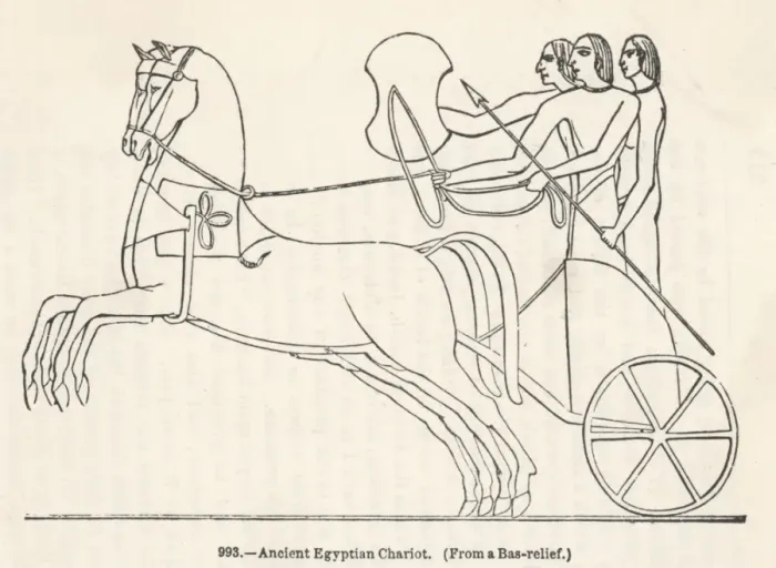 Framed Print : Transport / Chariot Framed Print : Transport / Chariot
