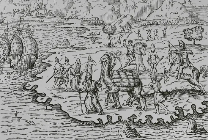 Framed Print : Transport of goods by camel for loading onto ships Framed Print : Transport of goods by camel for loading onto ships