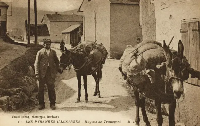 Framed Print : Transportation in the French Pyrenees - laden pack mules Framed Print : Transportation in the French Pyrenees - laden pack mules