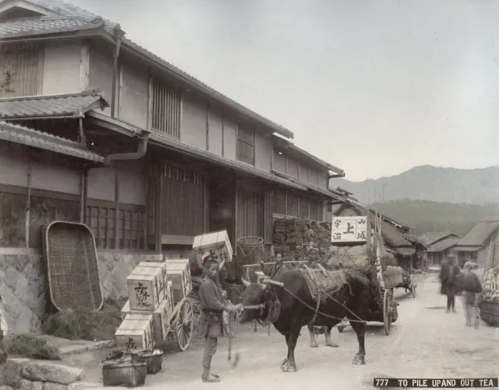 Framed Print : Transporting boxes of tea by ox cart, Japan Framed Print : Transporting boxes of tea by ox cart, Japan