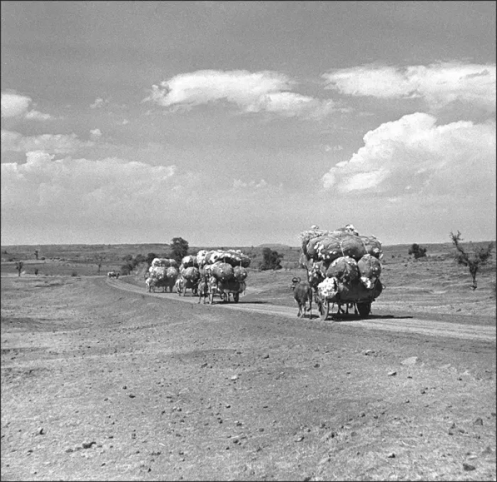 Framed Print : Transporting goods in Madhya Pradesh, Central India Framed Print : Transporting goods in Madhya Pradesh, Central India