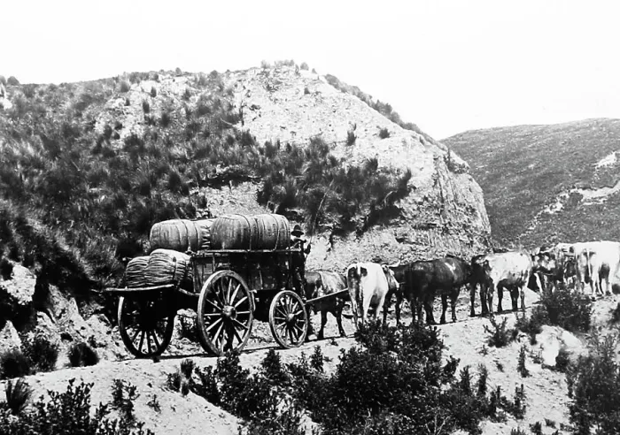 Framed Print : Transporting wool from Sheep Station to the Railway Station Framed Print : Transporting wool from Sheep Station to the Railway Station
