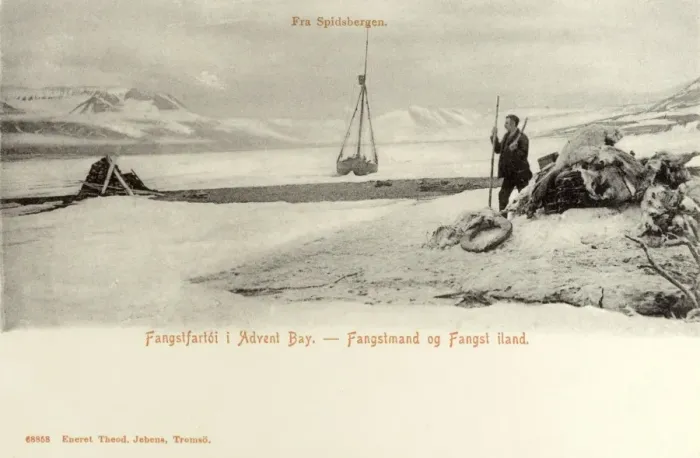 Framed Print : Trapping in Advent Bay, Spitsbergen, Norway Framed Print : Trapping in Advent Bay, Spitsbergen, Norway