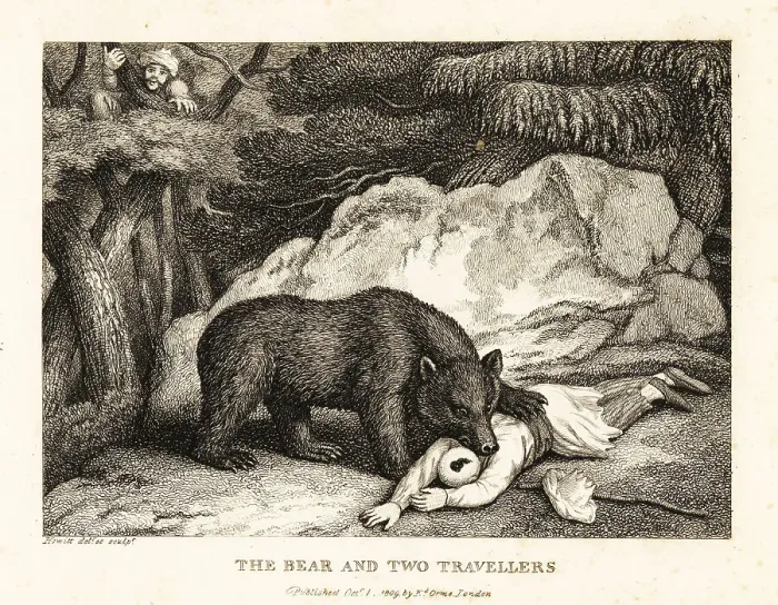 Framed Print : A traveller in turban plays dead while attacked by a bear Framed Print : A traveller in turban plays dead while attacked by a bear