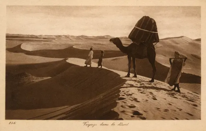 Framed Print : Travelling across the Sahara, Egypt - Camel Framed Print : Travelling across the Sahara, Egypt - Camel