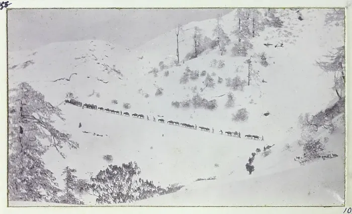 Framed Print : Travelling through the snow, Jelep La Pass above Sedonchen approaching Gnatong, between Sikkim, India, and Tibet, from a fascinating album which reveals new details on a little-known campaign in which a British military force brushed aside Tibetan Framed Print : Travelling through the snow, Jelep La Pass above Sedonchen approaching Gnatong, between Sikkim, India, and Tibet, from a fascinating album which reveals new details on a little-known campaign in which a British military force brushed aside Tibetan