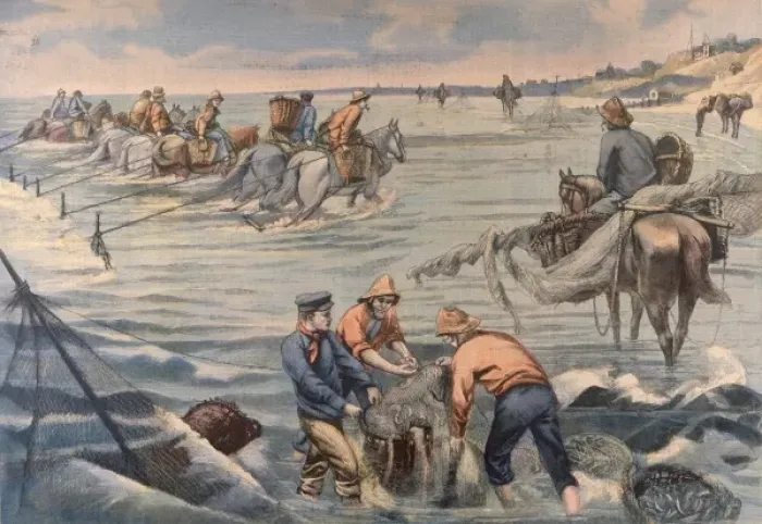 Framed Print : Trawling with Horses Framed Print : Trawling with Horses