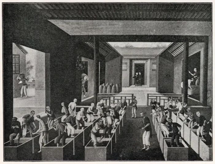 Framed Print : Treading tea in China. Date: Circa 1850 Framed Print : Treading tea in China. Date: Circa 1850