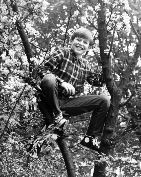 Framed Print : TREE BOY. A little boy up a tree. Date: 1960s Framed Print : TREE BOY. A little boy up a tree. Date: 1960s
