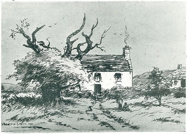 Tree By A Cottage