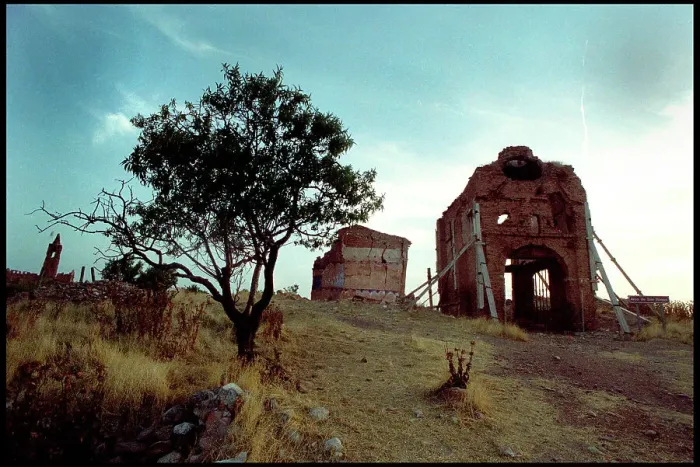 Framed Print : Tree and damaged buildings, Belchite, Spain Framed Print : Tree and damaged buildings, Belchite, Spain