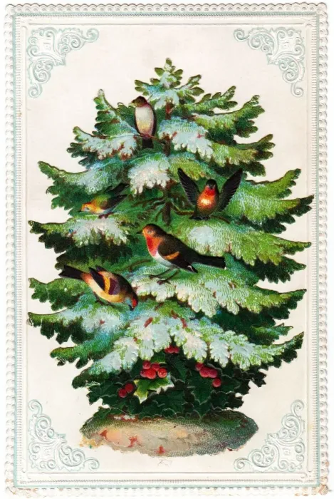 Framed Print : Tree with frosted leaves on a Christmas card Framed Print : Tree with frosted leaves on a Christmas card